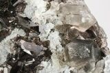 Lustrous Axinite-(Fe) and Smoky Quartz Associaition - Russia #208745-4